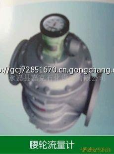 腰轮流量计选型指南 加油站设备厂家直销要点解析